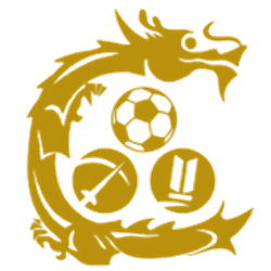 九龙城队标,九龙城图片