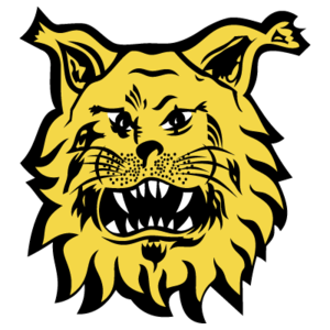 伊韦斯B队队标,伊韦斯B队图片